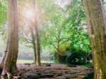 Connect with Mother Nature