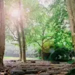 Connect with Mother Nature